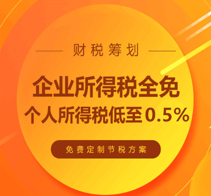 山东税务纳税筹划