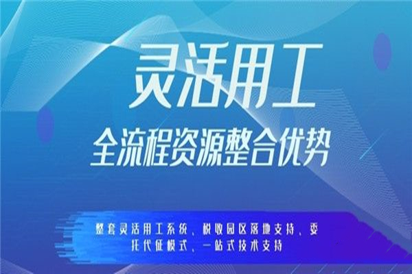 上海税务筹划服务(个人税务与遗产筹划pp