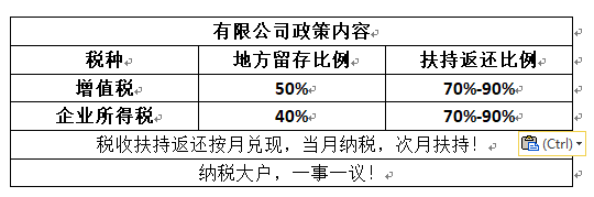 公司如何筹划税务(公司消费税筹划论文)(图2)