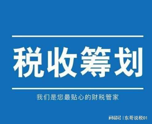 小公司税务筹划(公司吊销了税务还会查公司吗)