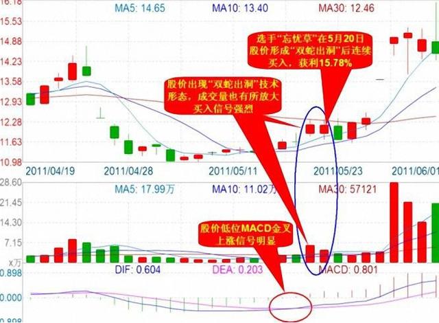 1万炒股一年最多挣多少