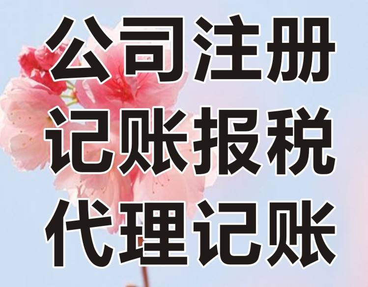 深圳财务代理公司(深圳财华财务代理)