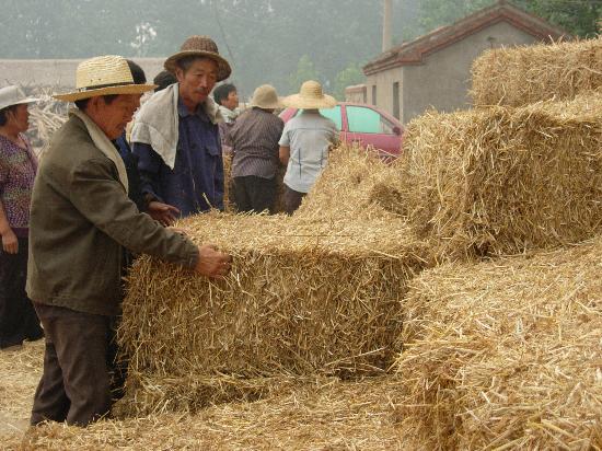 生物质能源上市公司