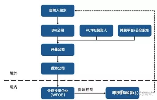 中国境外上市公司有多少家(中国境外旅游消费公司)