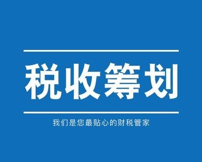 纳税筹划税收筹划