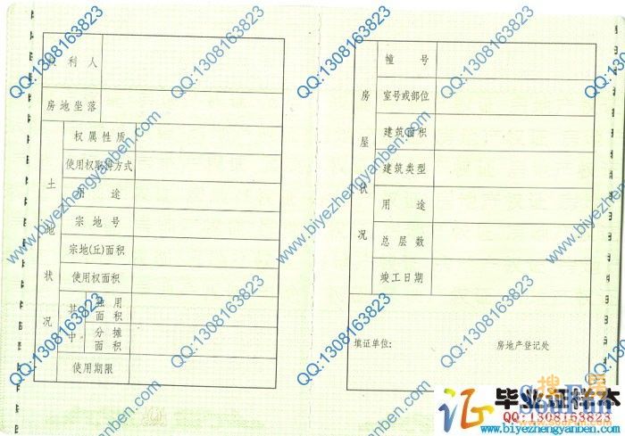 财税网 上海(上海注册公司代理财税记账)