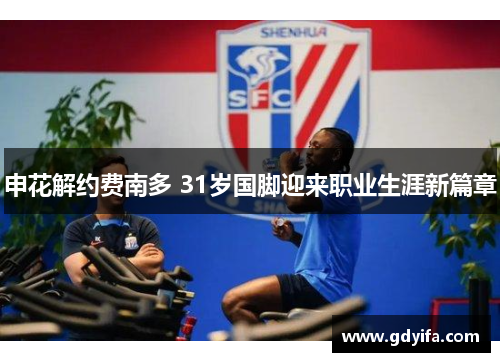 申花解约费南多 31岁国脚迎来职业生涯新篇章 申花解约费南多 31岁国脚迎来职业生涯新篇章