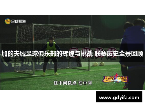 加的夫城足球俱乐部的辉煌与挑战 联赛历史全景回顾