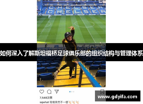 如何深入了解斯坦福桥足球俱乐部的组织结构与管理体系